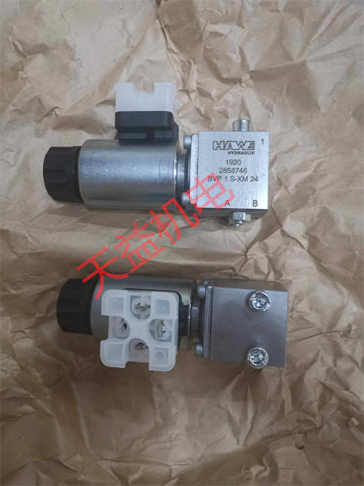 天益機電HAWE工業產品"RK1 1" "HAWE BVP1S-XM24" "LP100-12-30" 